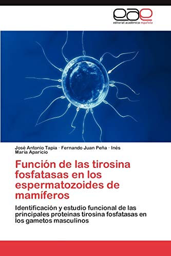 Función de las tirosina fosfatasas en los espermatozoides de mamíferos: Identificación y estudio funcional de las principales proteínas tirosina fosfatasas en los gametos masculinos