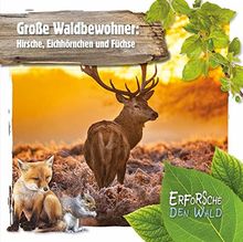 Große Waldbewohner: Hirsche, Eichhörnchen und Füchse: Erforsche den Wald