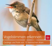 Vogelstimmen erkennen / CD: Gesänge und Rufe von 75 heimischen Arten