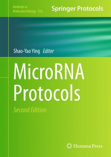 MicroRNA Protocols (Methods in Molecular Biology)