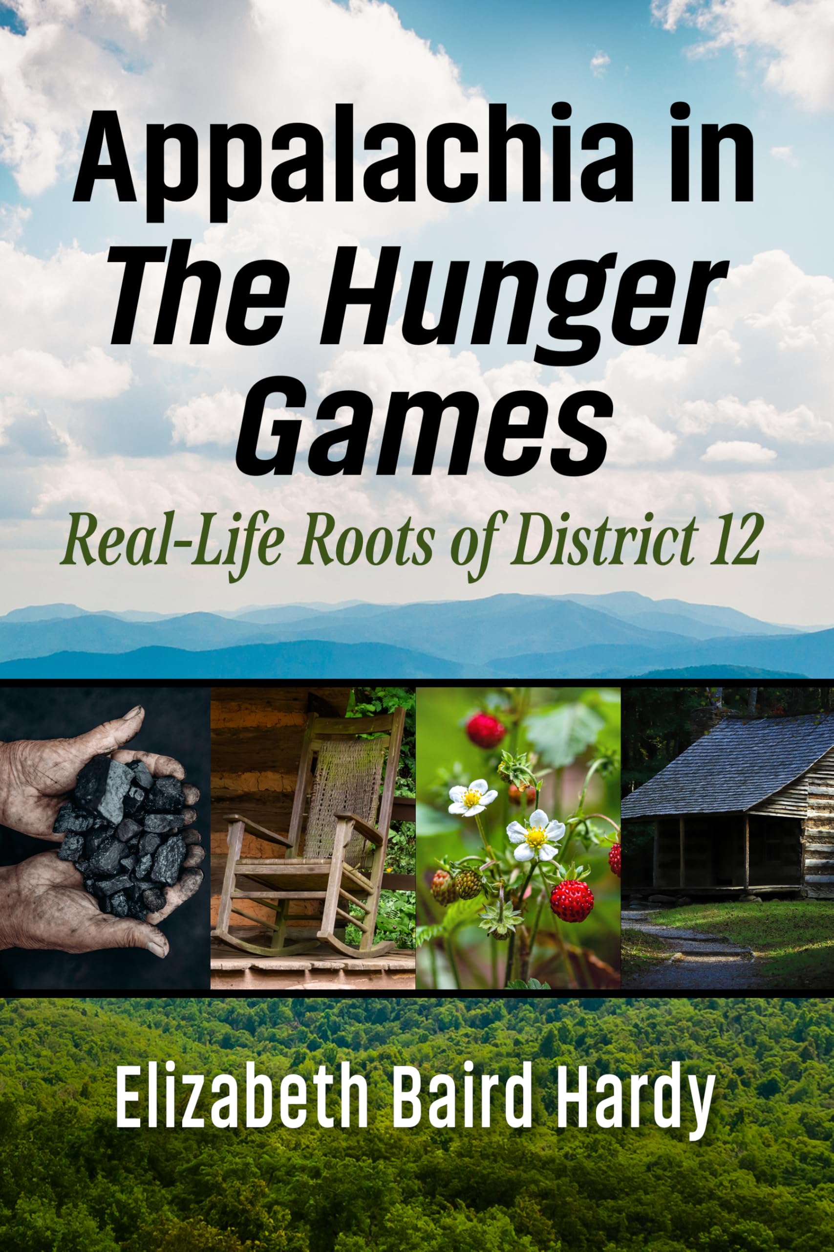 Appalachia in the Hunger Games