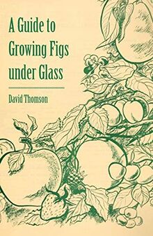 A Guide to Growing Figs under Glass