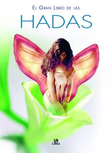 Gran libro de las hadas (Grandes Temas)