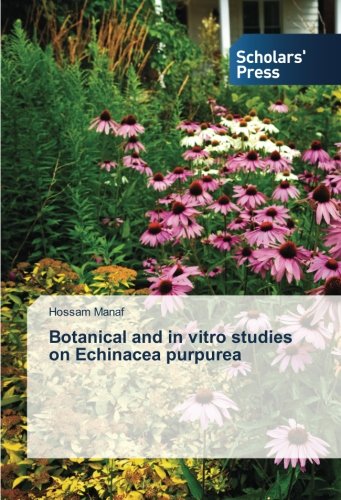 Botanical and in vitro studies on Echinacea purpurea
