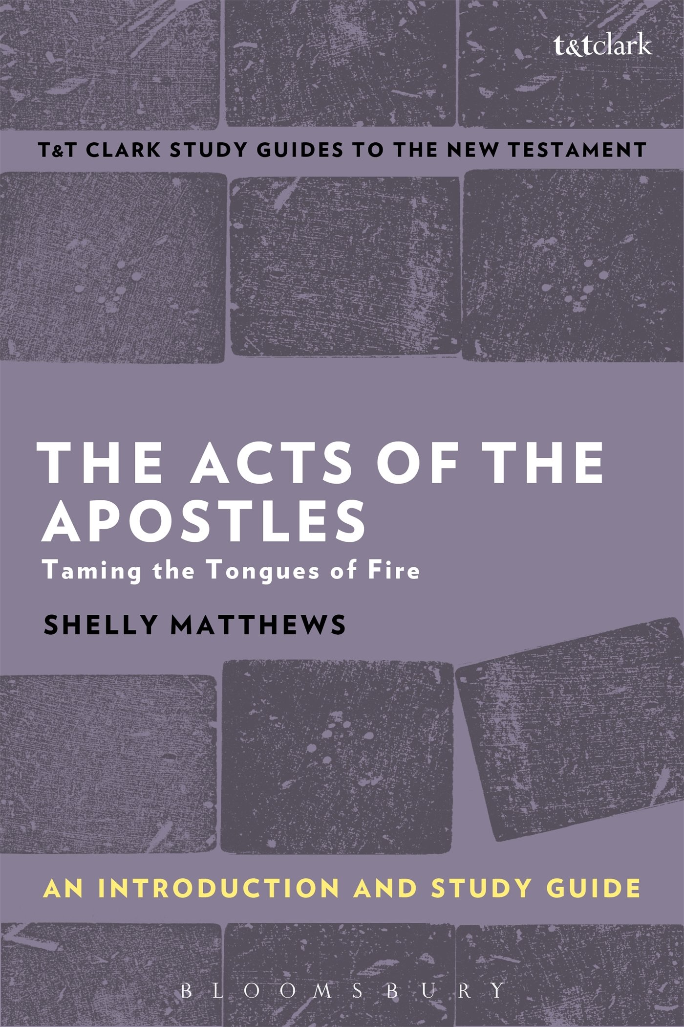 The Acts of The Apostles: An Introduction and Study Guide: Taming the Tongues of Fire (T&T Clark’s Study Guides to the New Testament)
