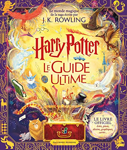 Livre Harry Potter 516218 Officiel: Achetez En ligne en Promo