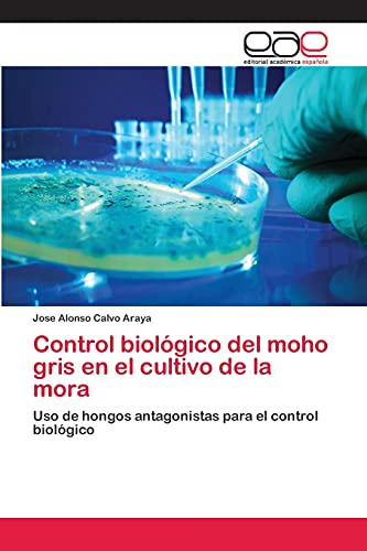Control biológico del moho gris en el cultivo de la mora: Uso de hongos antagonistas para el control biológico