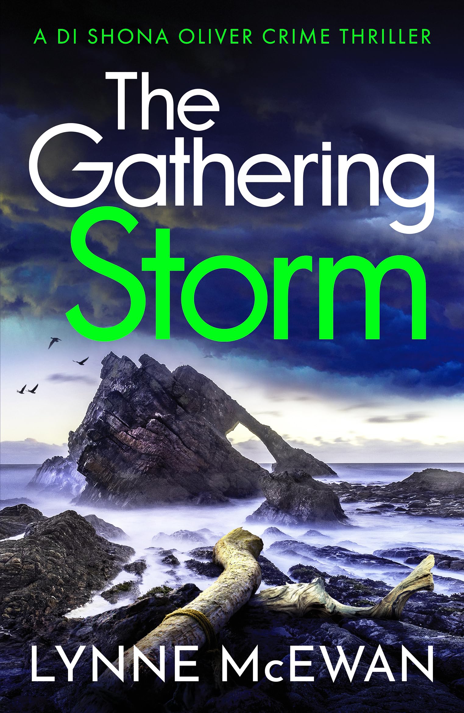 The Gathering Storm: An atmospheric, gripping Scottish police procedural (Detective Shona Oliver)