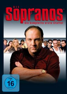Die Sopranos - Die komplette erste Staffel [4 DVDs]