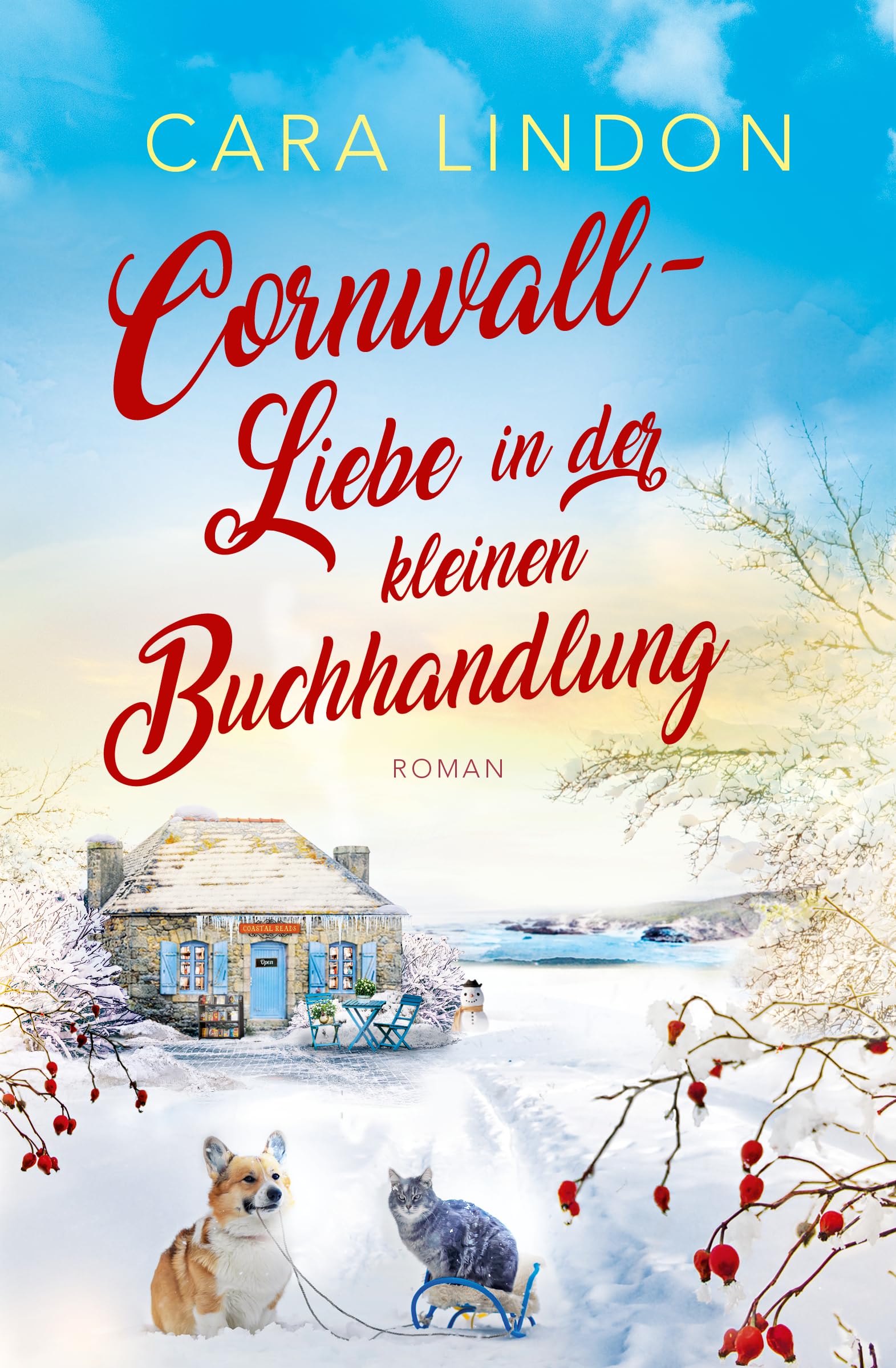 Cornwall-Liebe in der kleinen Buchhandlung: Sehnsucht nach Cornwall 4