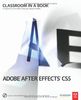 Adobe After Effects CS5 (1DVD)