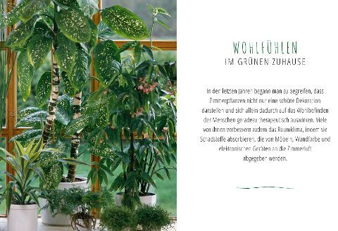 Saubere Luft mit Zimmerpflanzen von Ursula Kopp - Gebundene Ausgabe