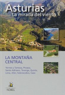La montaña central (Asturias Mirada Del Viento) von Chao Arana, Francisco Javier, Sanz Ovies, Miguel | Buch | Zustand sehr gut