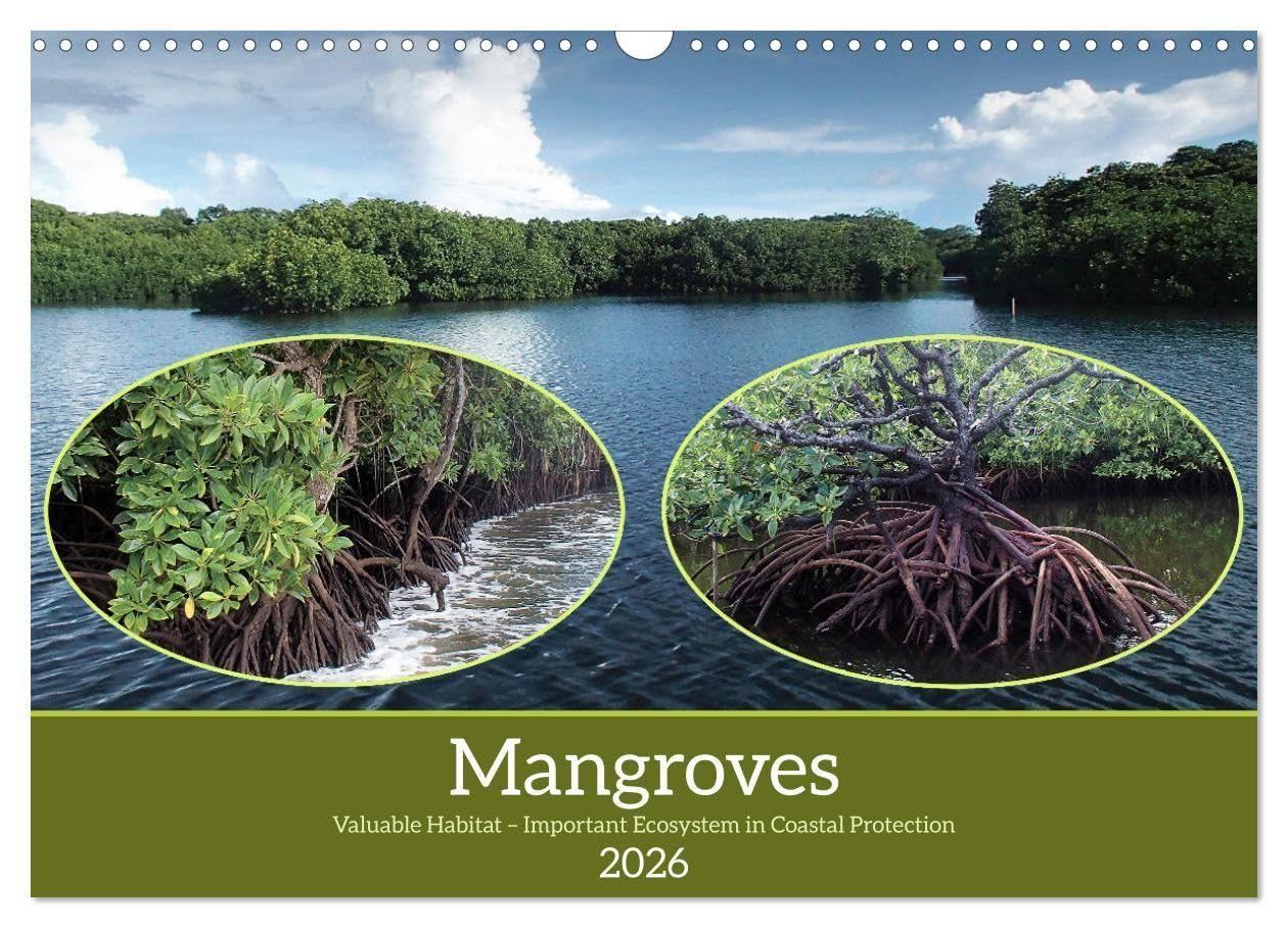 Mangroves - Valuable Habitat (Wall Calendar 2026 DIN A3 landscape), CALVENDO 12 Month Wall Calendar: Mangroves, Unique Habitat, Needs Protection! (CALVENDO Places)