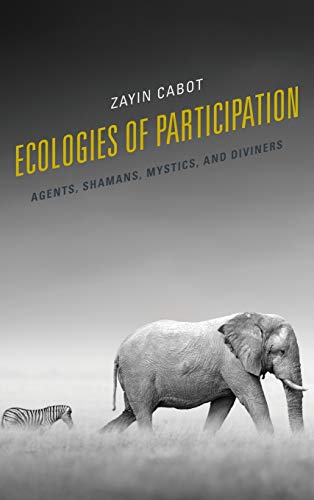 Ecologies of Participation: Agents, Shamans, Mystics, and Diviners (Postcolonial and Decolonial Studies in Religion and Theology)