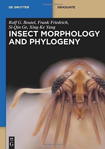 Insect Morphology and Phylogeny: A Textbook For Students Of Entomology (De Gruyter Textbook)