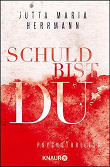 Schuld bist du: Psychothriller