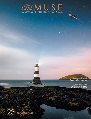 Able Muse, Summer 2017 (No. 23 - print edition): a review of poetry, prose & art (Able Muse, Print Edition, Band 23)