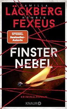 Finsternebel: Kriminalroman | Der Nr.-1-Bestseller aus Schweden (Die Dabiri-Walder-Trilogie, Band 2)