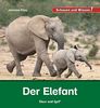 Der Elefant: Schauen und Wissen!