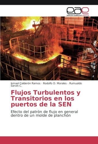 Flujos Turbulentos y Transitorios en los puertos de la SEN: Efecto del patrón de flujo en general dentro de un molde de planchón