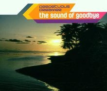 The Sound of Goodbye