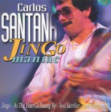 Jingo-Maniac!