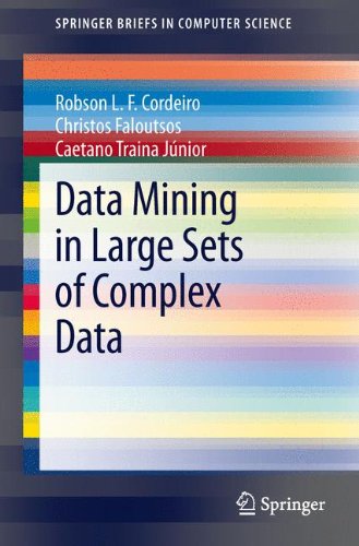Data Mining in Large Sets of Complex Data (Springer Briefs in Computer Science)