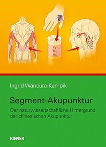 Segment-Akupunktur: Der naturwissenschaftliche Hintergrund der chinesischen Akupunktur