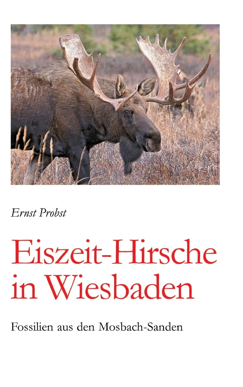 Eiszeit-Hirsche in Wiesbaden: Fossilien aus den Mosbach-Sanden