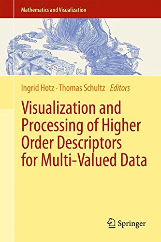 Visualization and Processing of Higher Order Descriptors for Multi-Valued Data (Mathematics and Visualization)