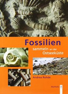 Fossilien sammeln an der Ostseeküste: Trilobiten, Seeigel, Donnerkeile und Co. - Fossilführende Gesteine des südwestlichen Ostseeraumes