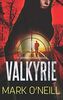 Valkyrie: History Is a Nightmare Which You Can't Wake Up From (Department 89, Band 14)
