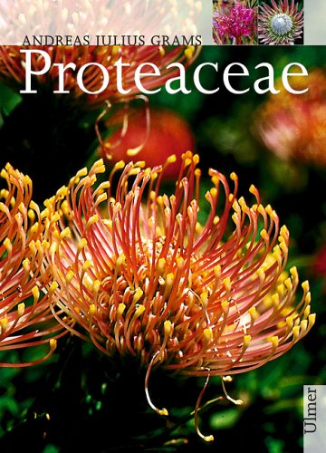 Proteaceae - Andreas J Grams Gebunden