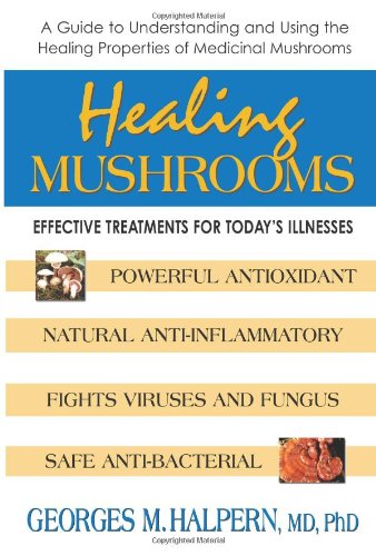 Healing Mushrooms: Effective Treatment for Today's Illnesses