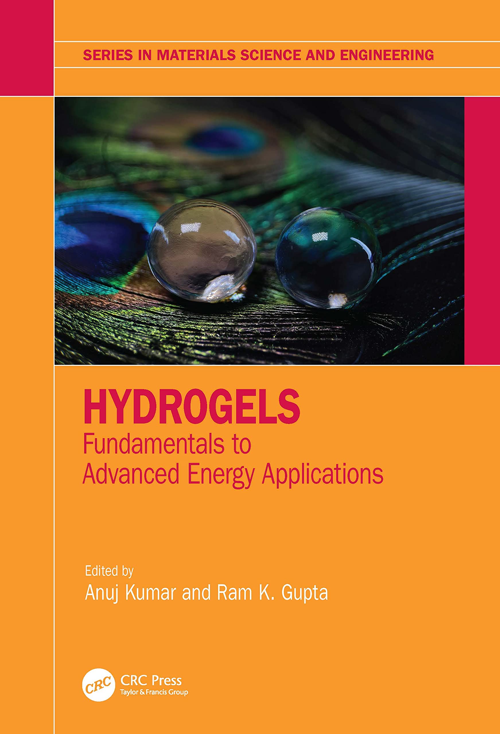 Hydrogels: Fundamentals to Advanced Energy Applications (Materials Science and Engineering)