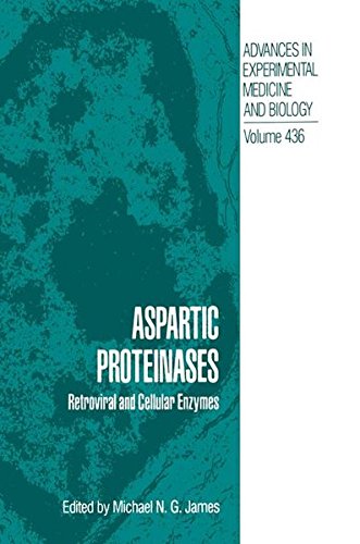 Aspartic Proteinases: Retroviral and Cellular Enzymes (Advances in Experimental Medicine and Biology, Band 436)