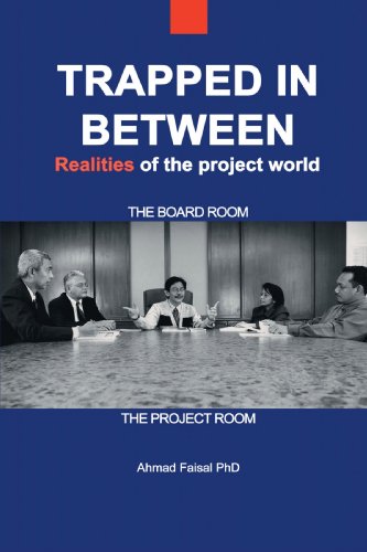 Trapped In Between: Realities Of The Project World