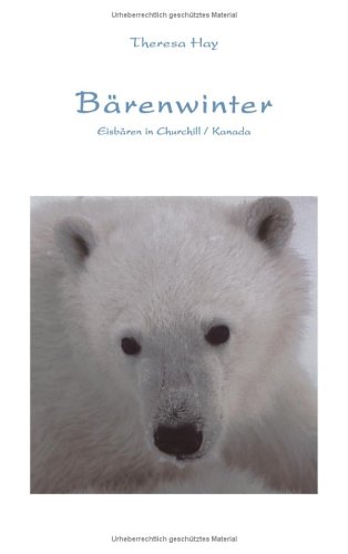 Bärenwinter - Theresa Hay Kartoniert (TB)