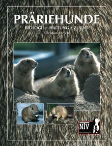 Präriehunde: Biologie, Haltung, Zucht