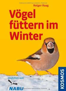 Vögel füttern im Winter