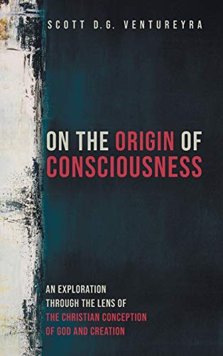 On the Origin of Consciousness: An Exploration Through the Lens of the Christian Conception of God and Creation
