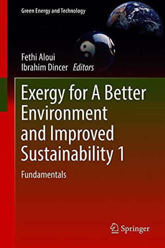Exergy for A Better Environment and Improved Sustainability 1: Fundamentals (Green Energy and Technology)