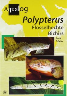 Polypterus: Flösselhechte /Bichirs. Dt./Engl. (Aqualog Bildlexikon)