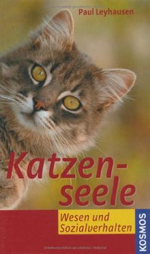 Katzenseele: Wesen und Sozialverhalten