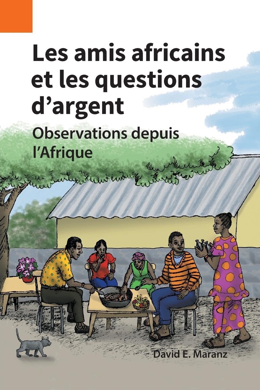 Les amis africains et les questions d'argent: Observations depuis l'Afrique (Publications En Ethnographie, Band 51)