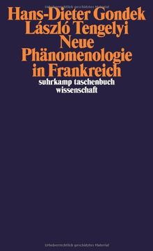 Neue Phänomenologie in Frankreich (suhrkamp taschenbuch wissenschaft)