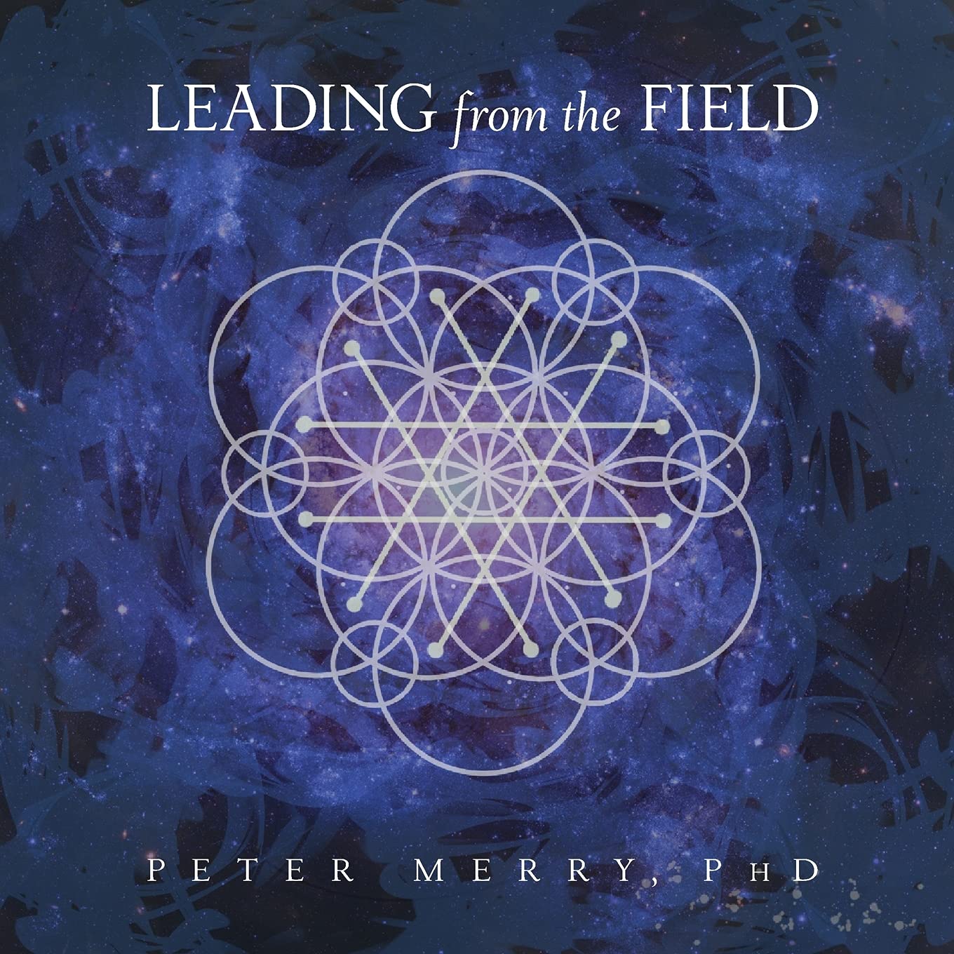 Peter Merry Leading From The Field, Twelve Principles For Energetic Stewardship