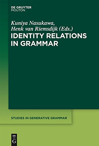 Identity Relations in Grammar (Studies in Generative Grammar [SGG], Band 119)