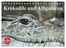 Krokodile und Alligatoren (Tischkalender 2023 DIN A5 quer), Calvendo Monatskalender